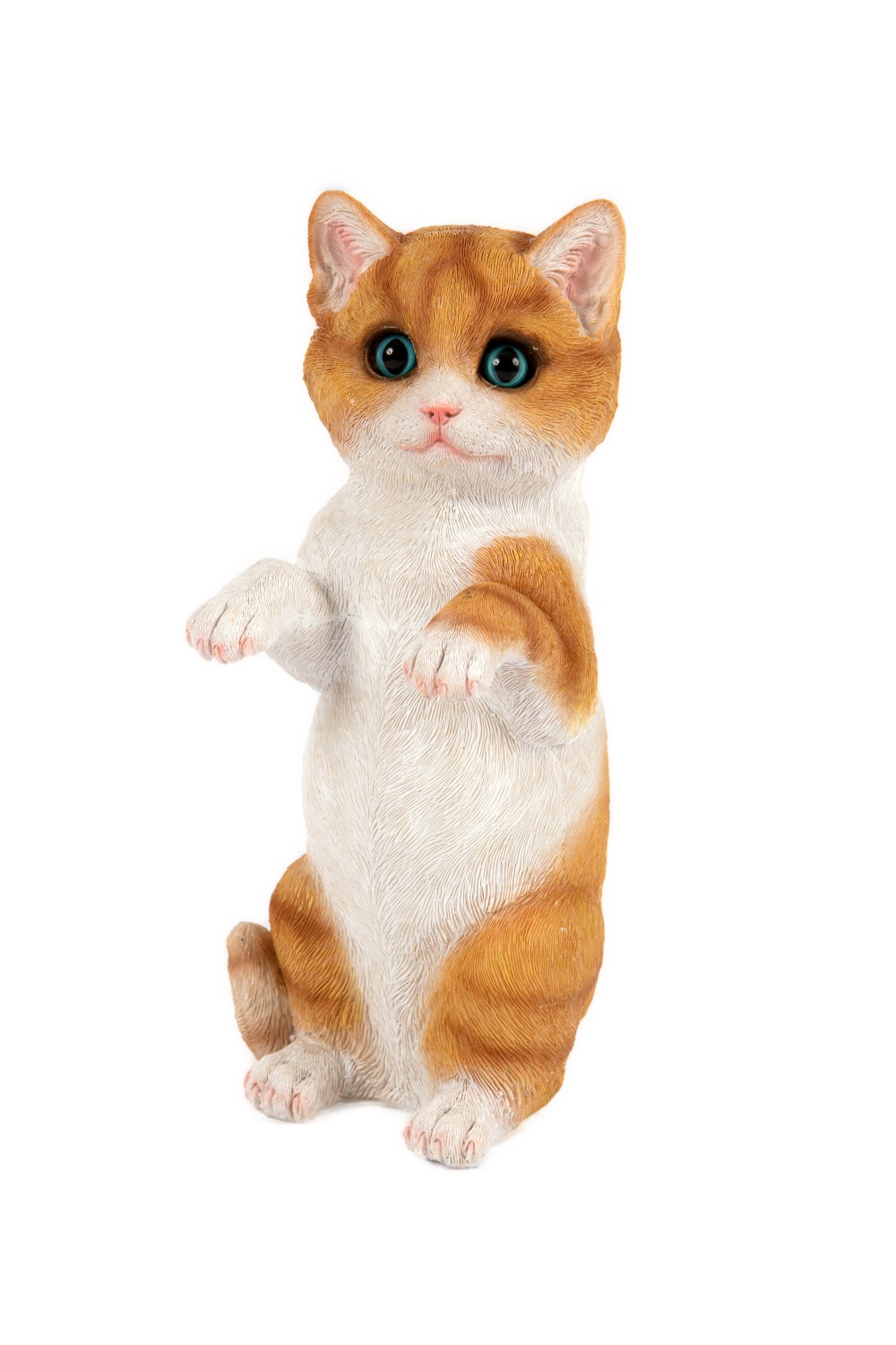 Standing Ginger Kitten