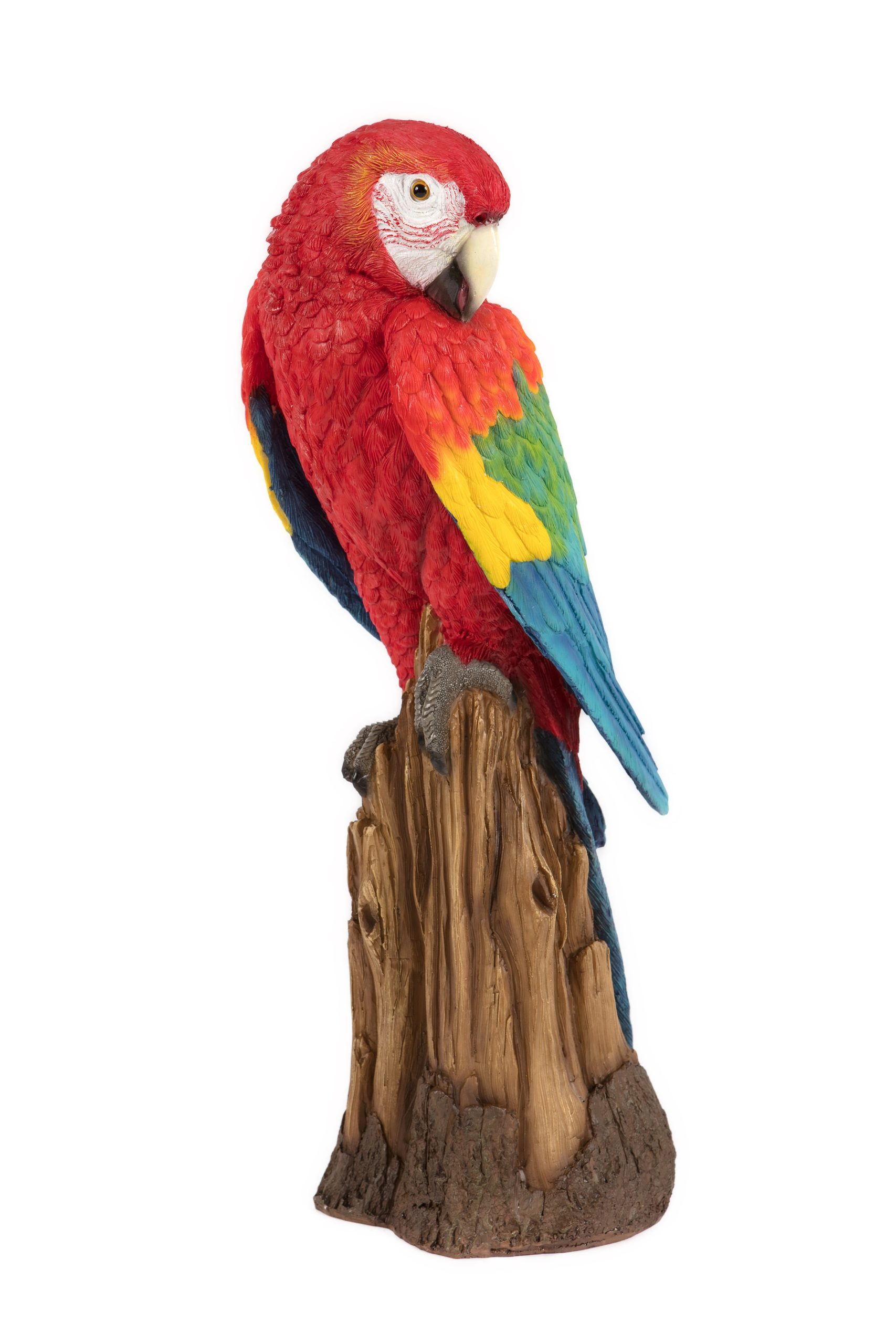 Perched Red Macaw
