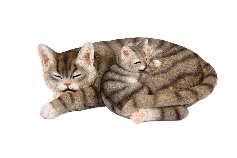 Sleeping Cat & Kitten