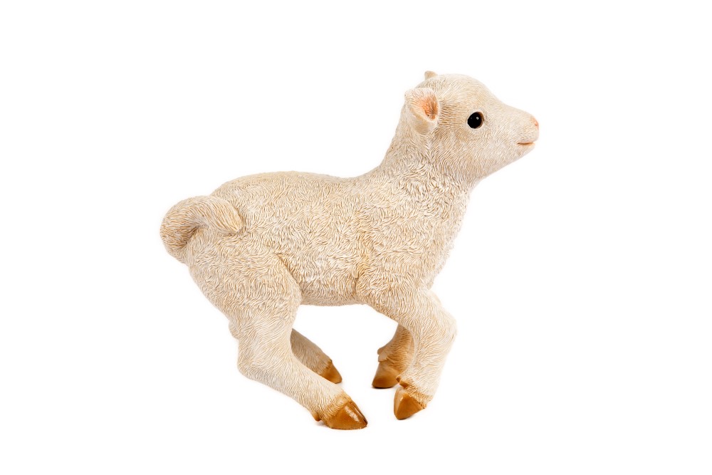 5. Vm2910600 Inpixio