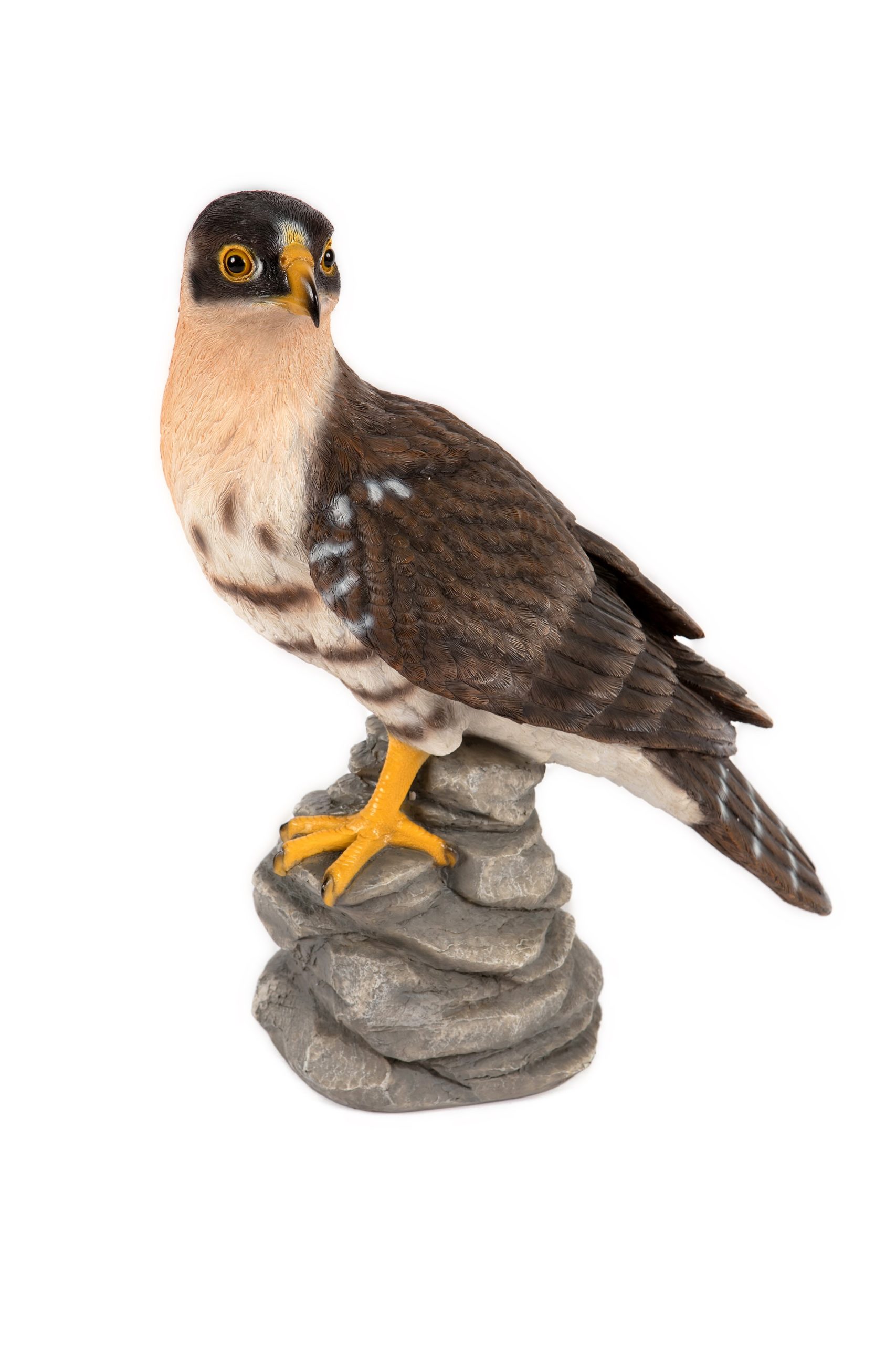 Falcon