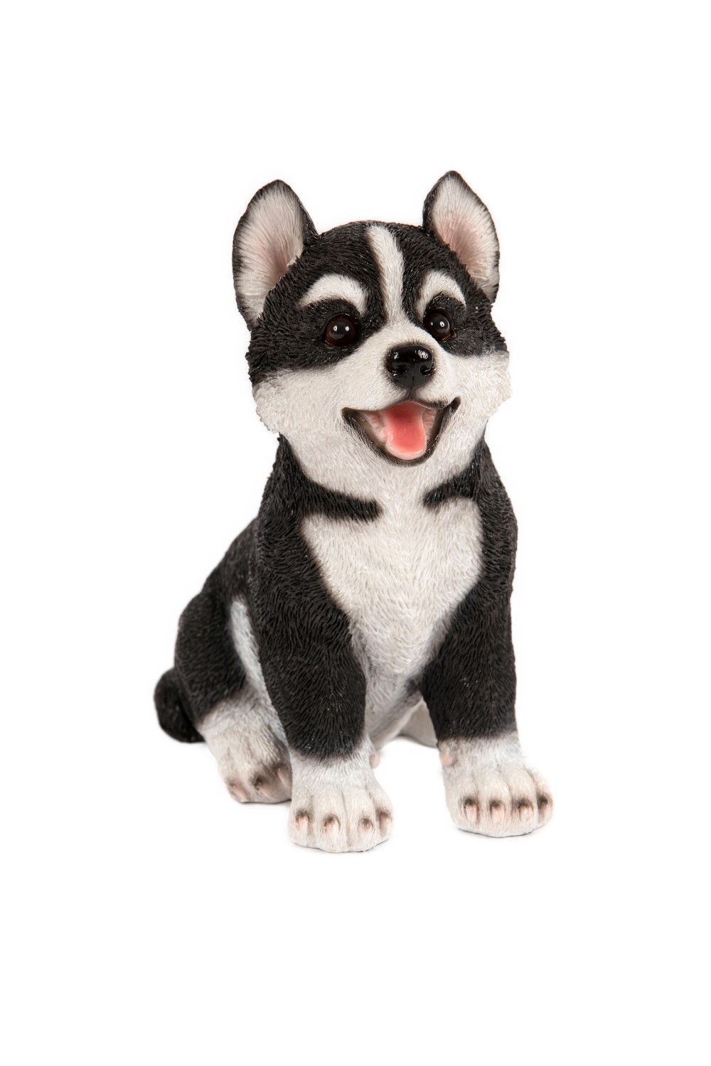 Siberian Huskie Pup