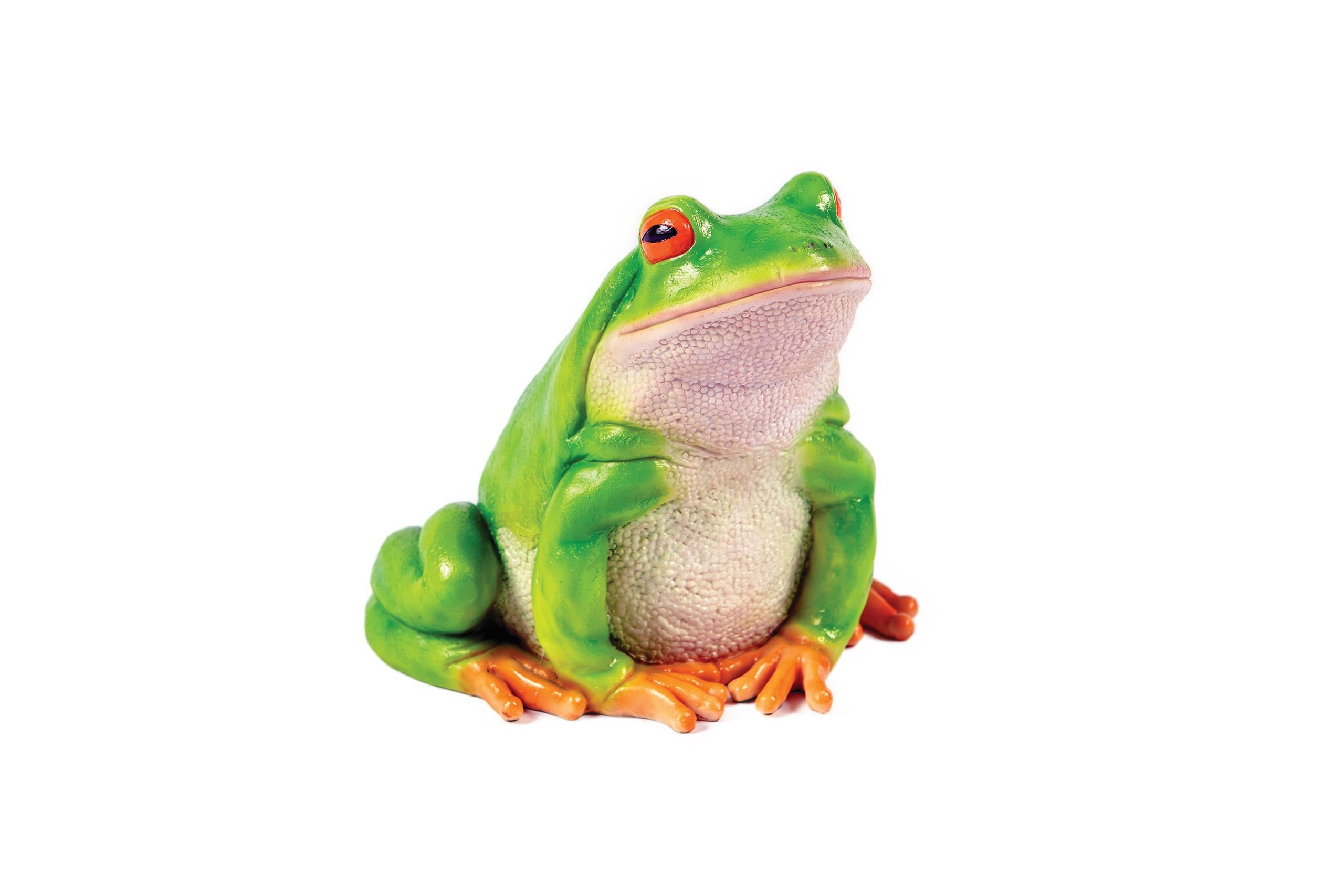 Sitting Frog