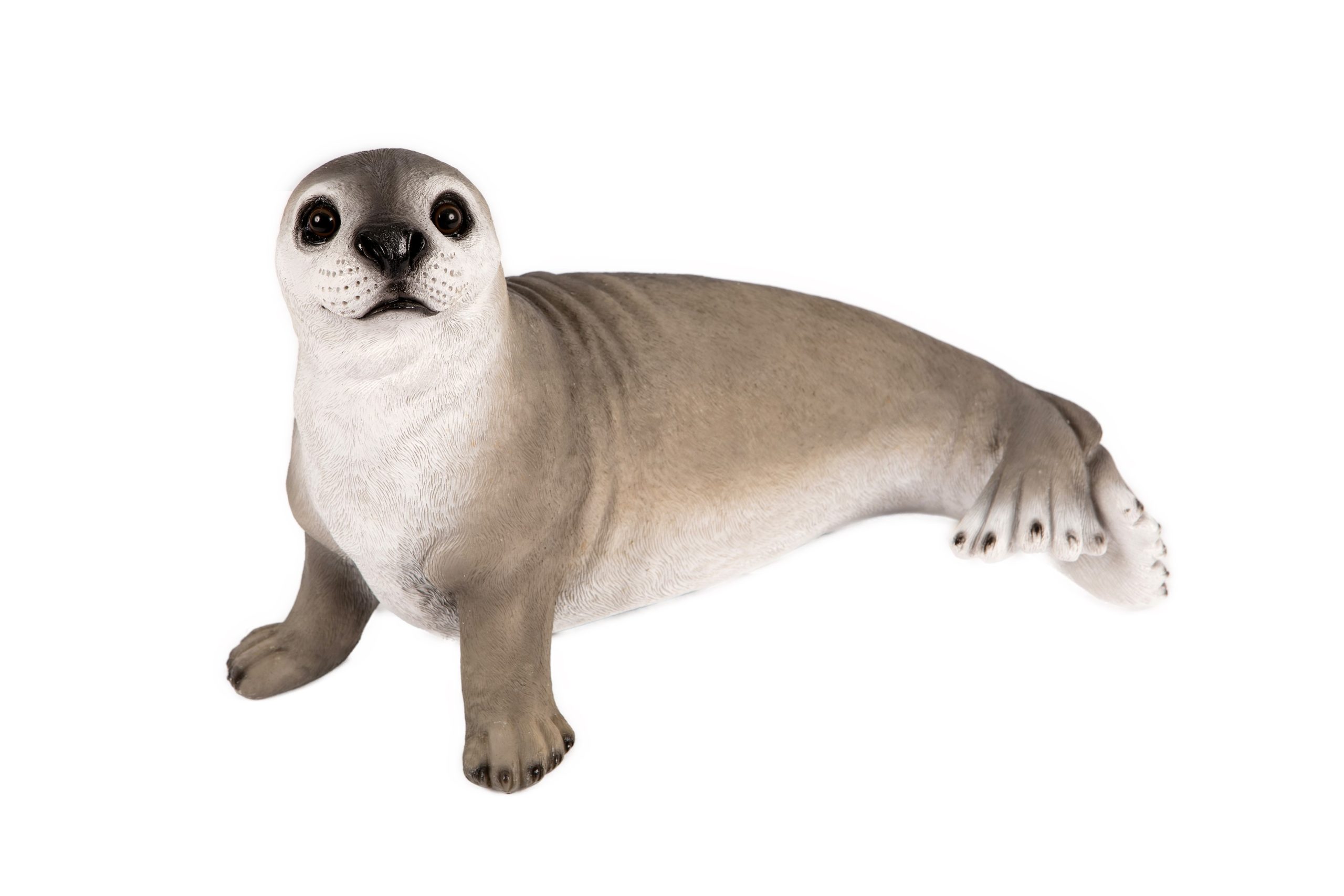 Seal