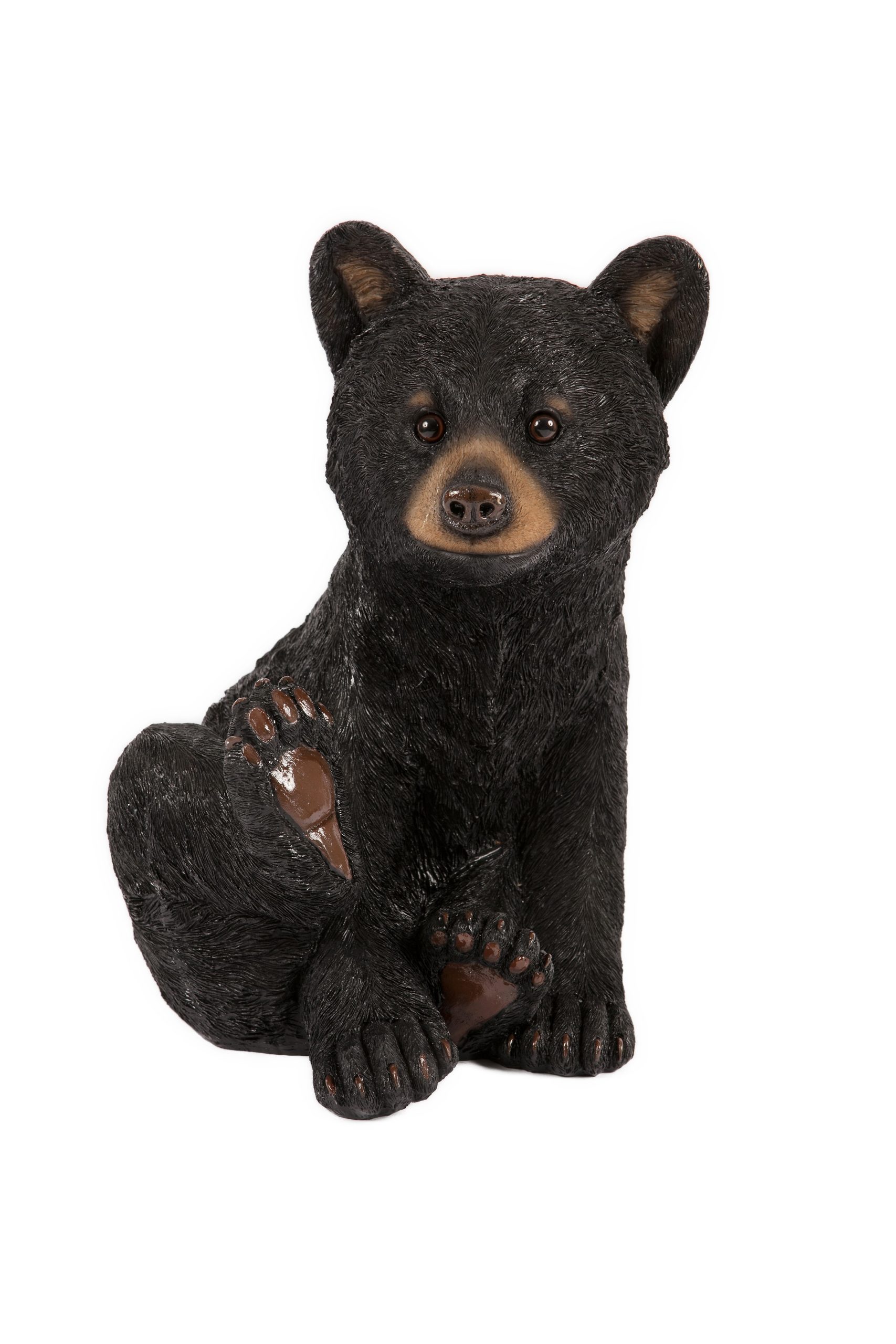 Sitting Bear Cub
