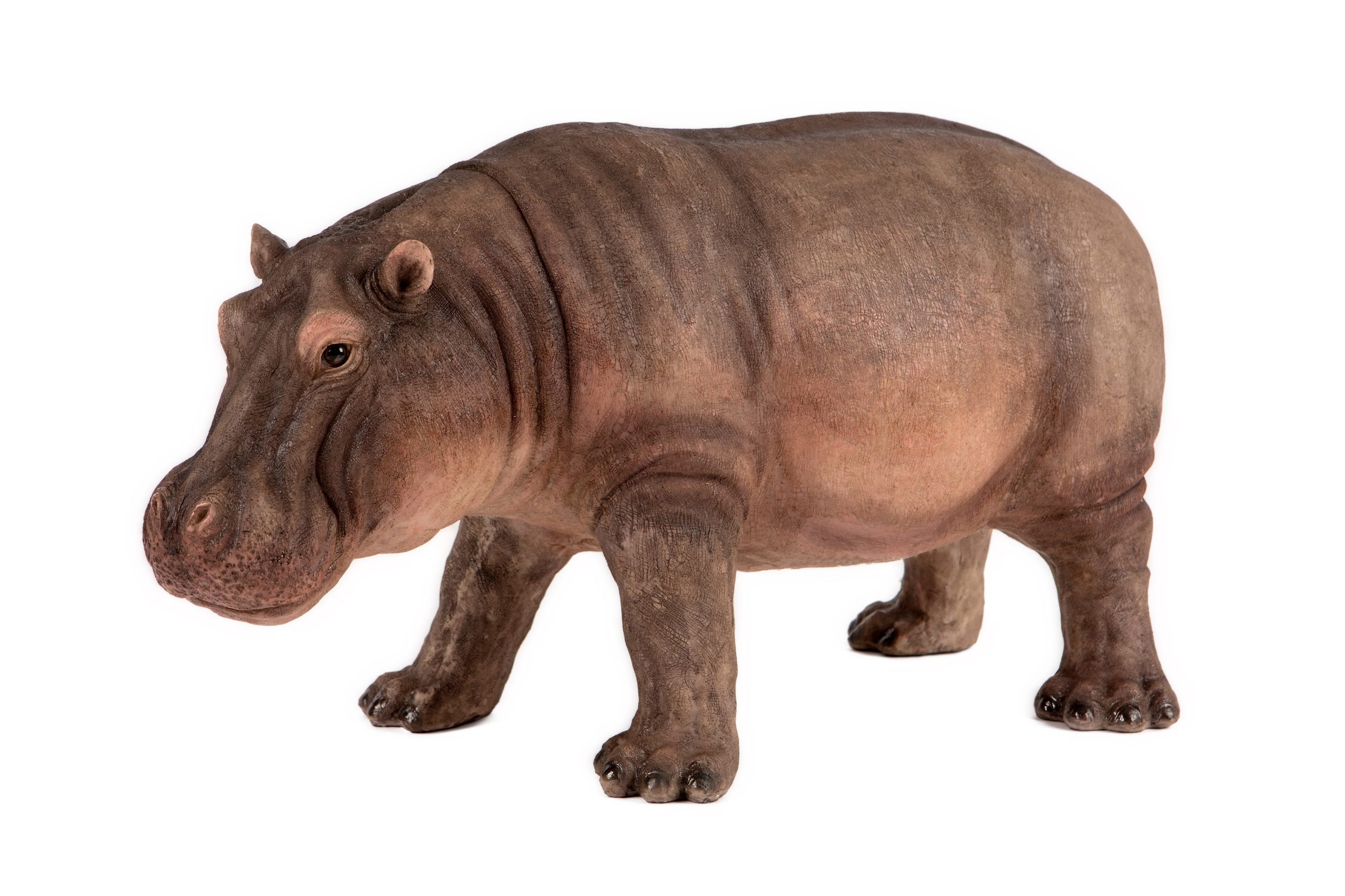 Hippo