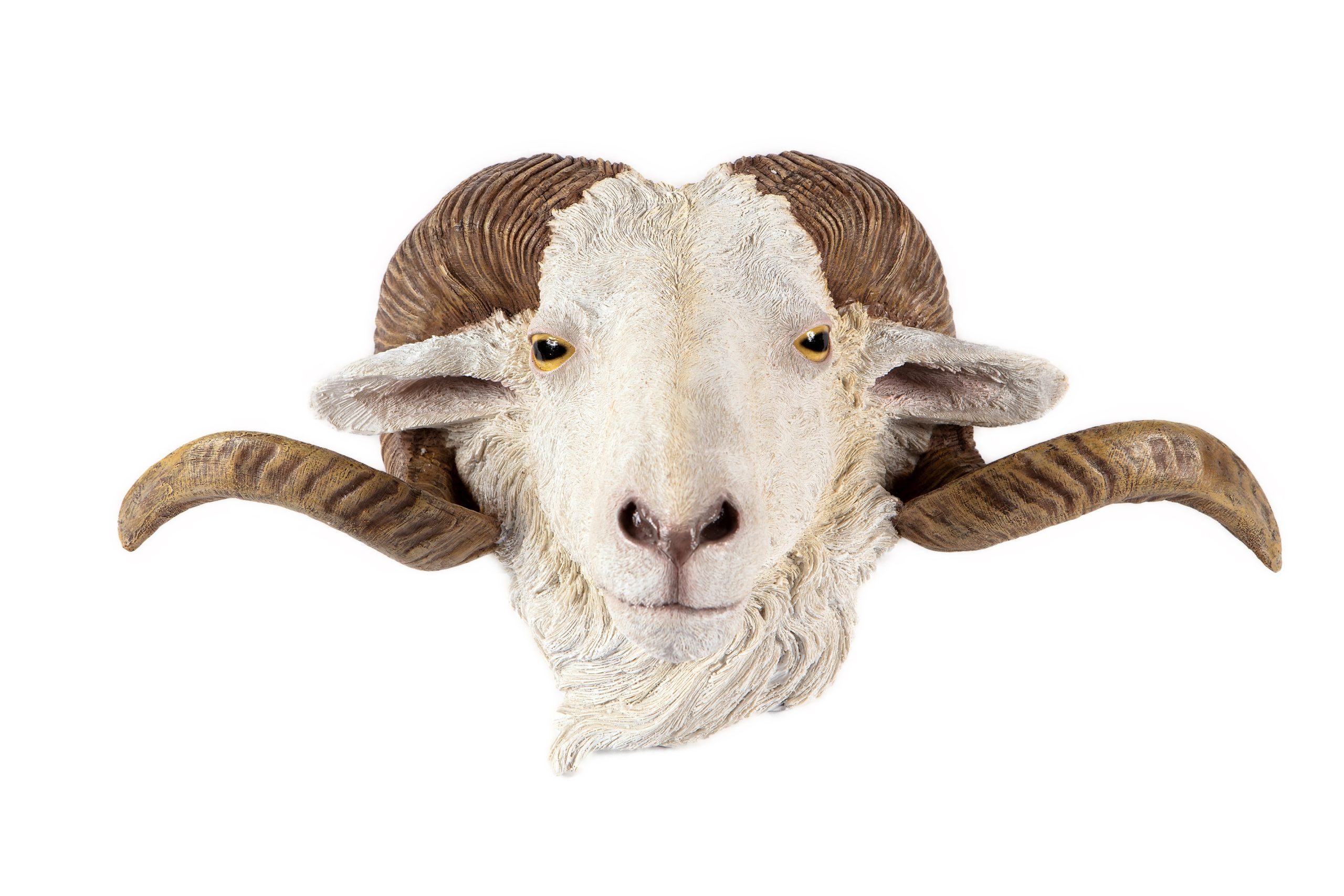 Ram Head Wall Décor Hamac Trading