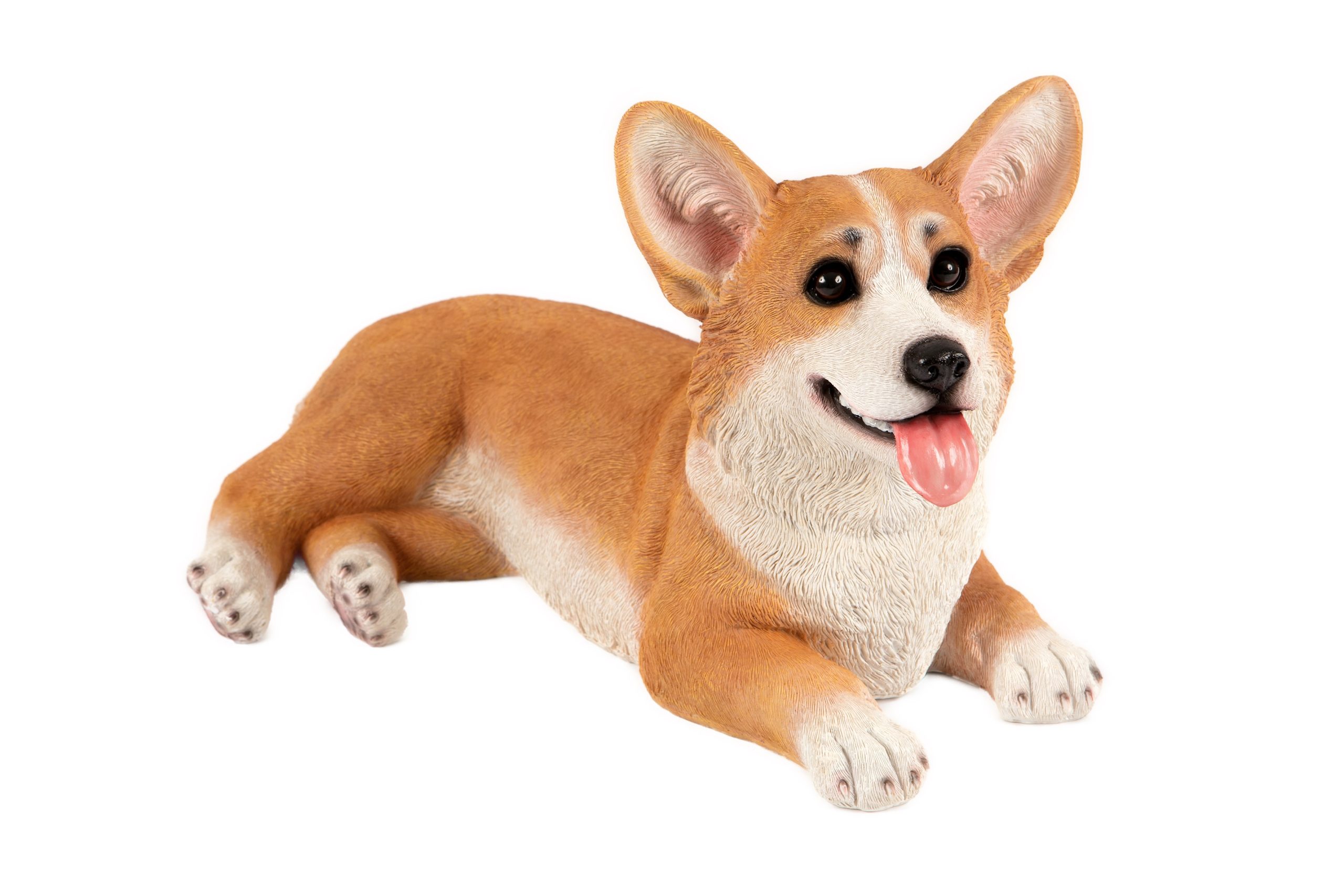 Lying Corgi