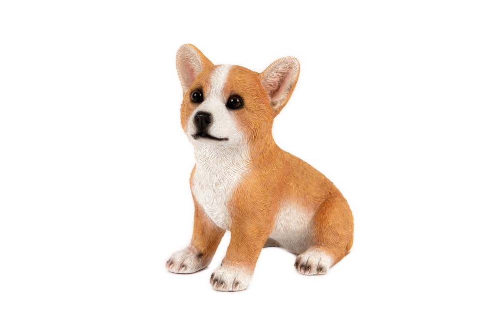 6. Vm2894700 Inpixio