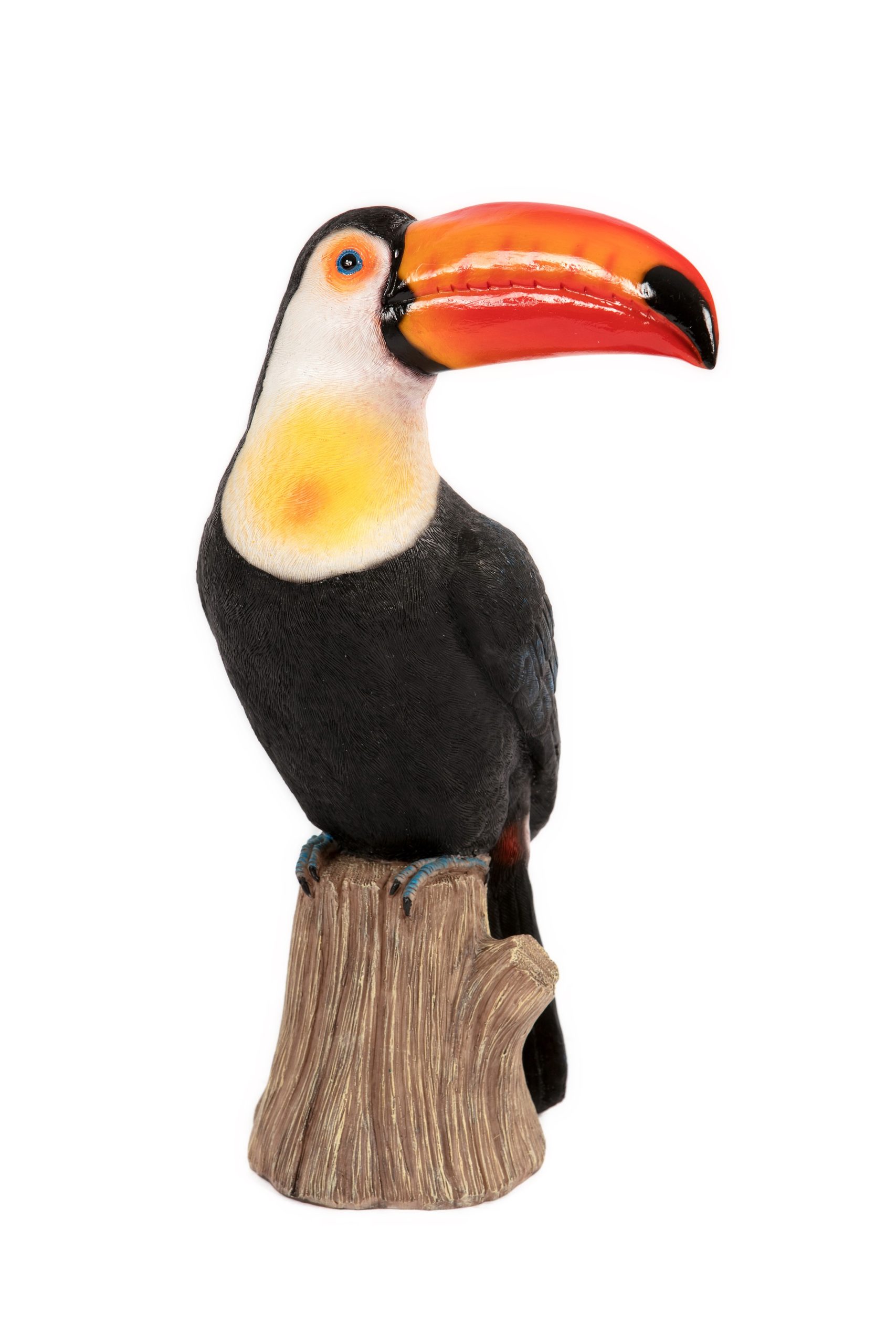 Perched Toucan