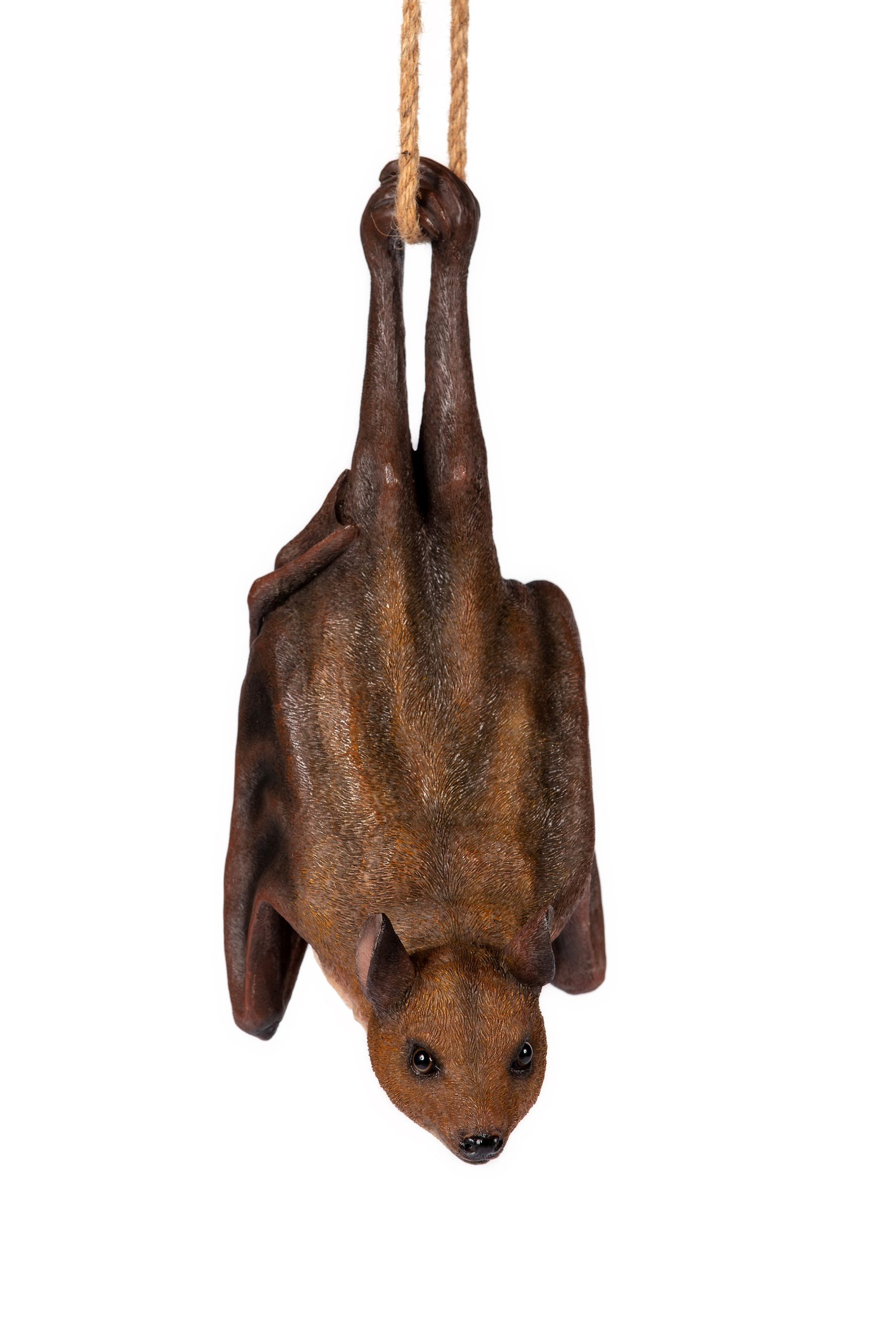 Hanging Bat (Head Up)