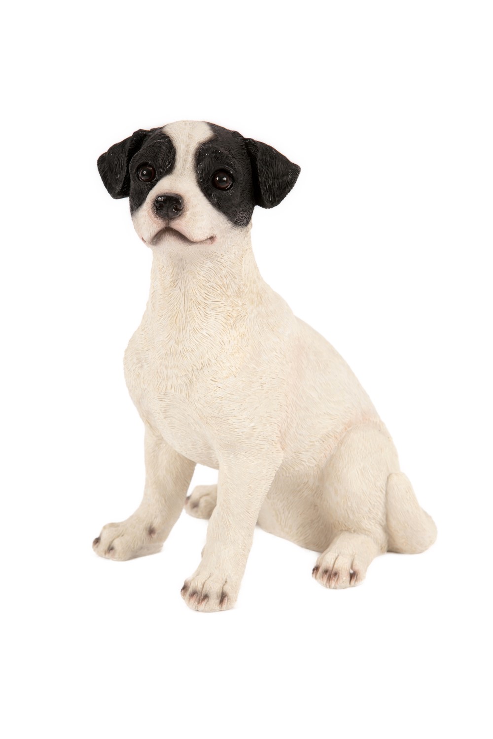 Sitting Jack Russell