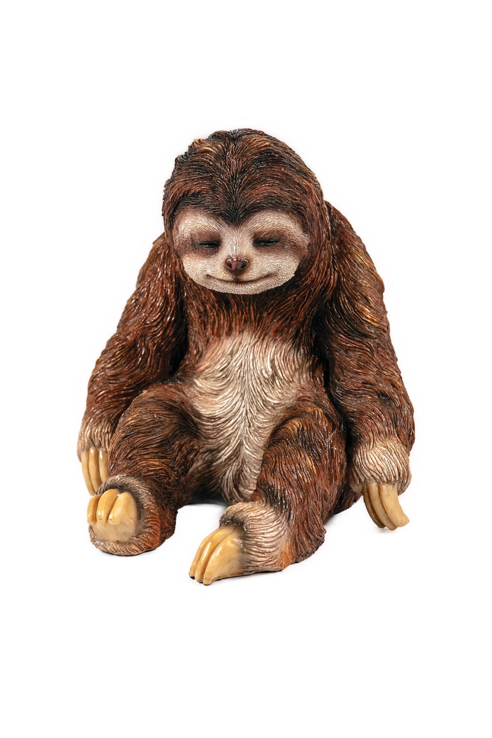 Sitting Sloth