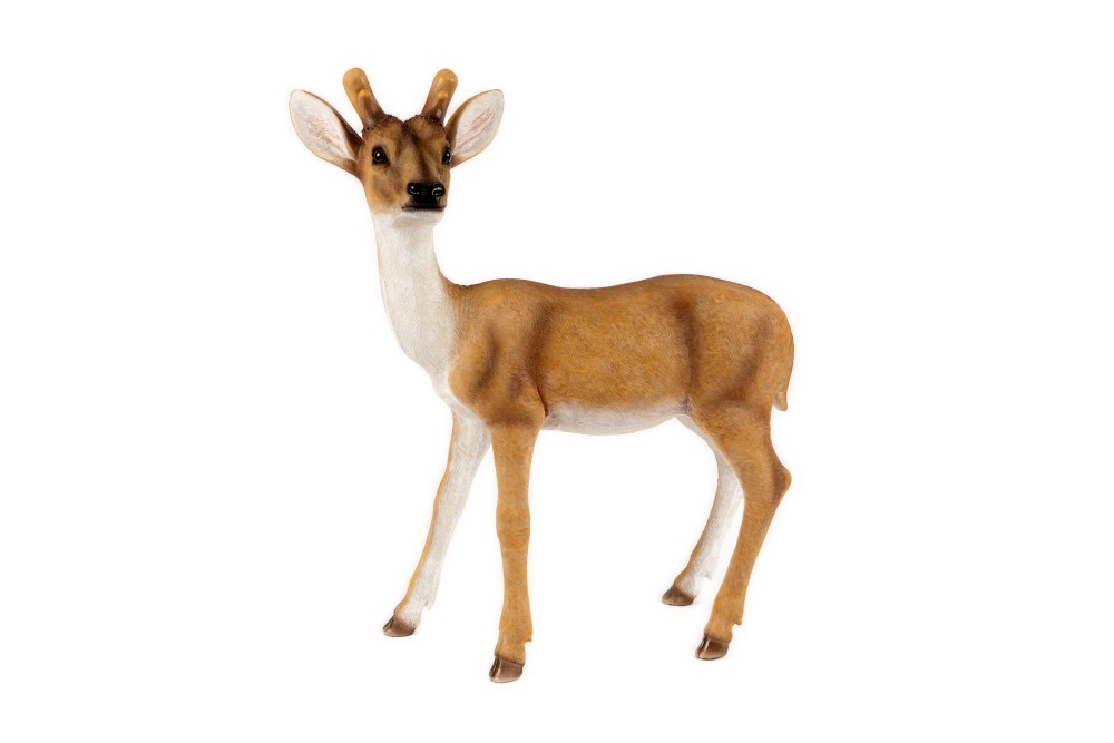 Standing Deer