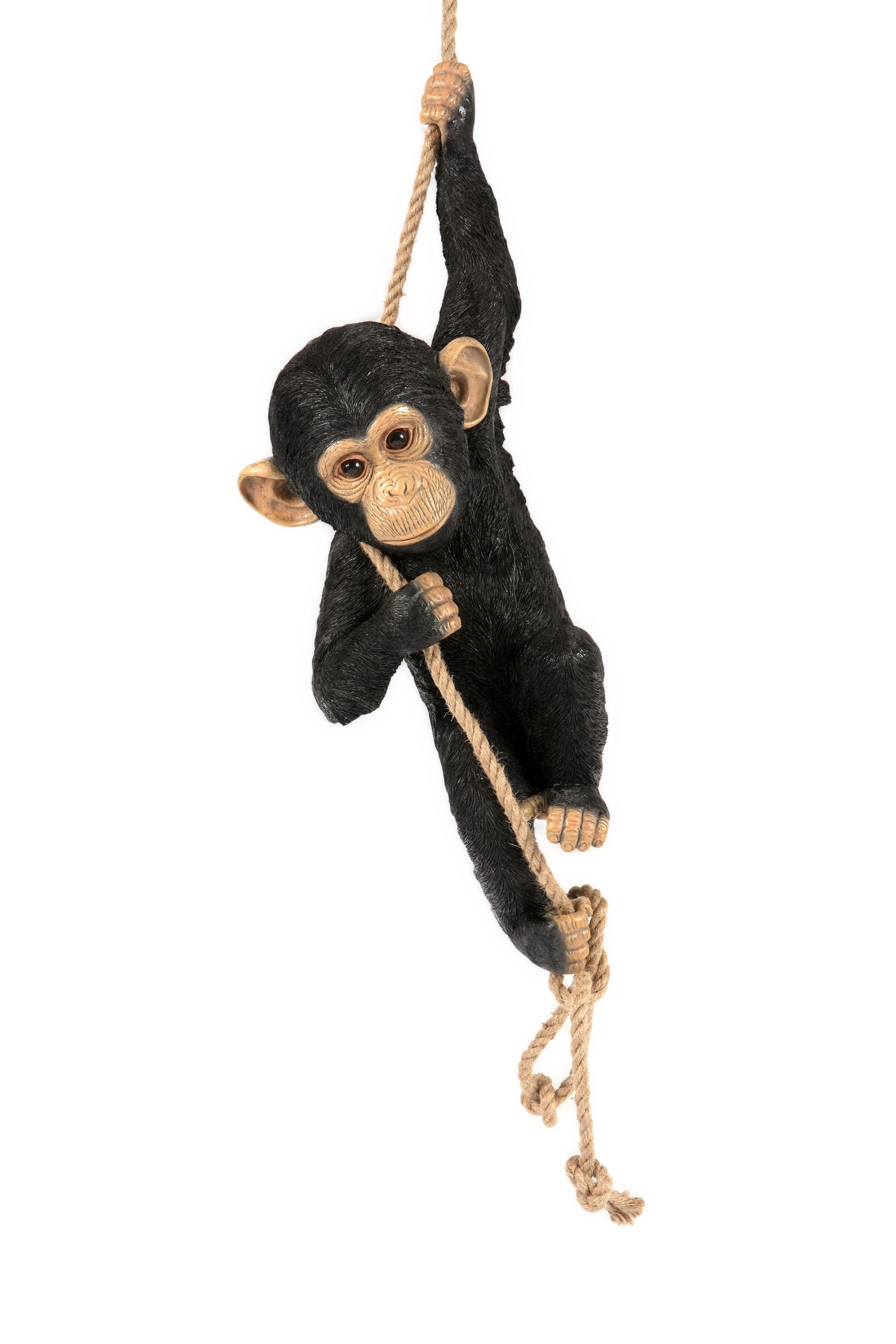 Climbing Chimpanzee