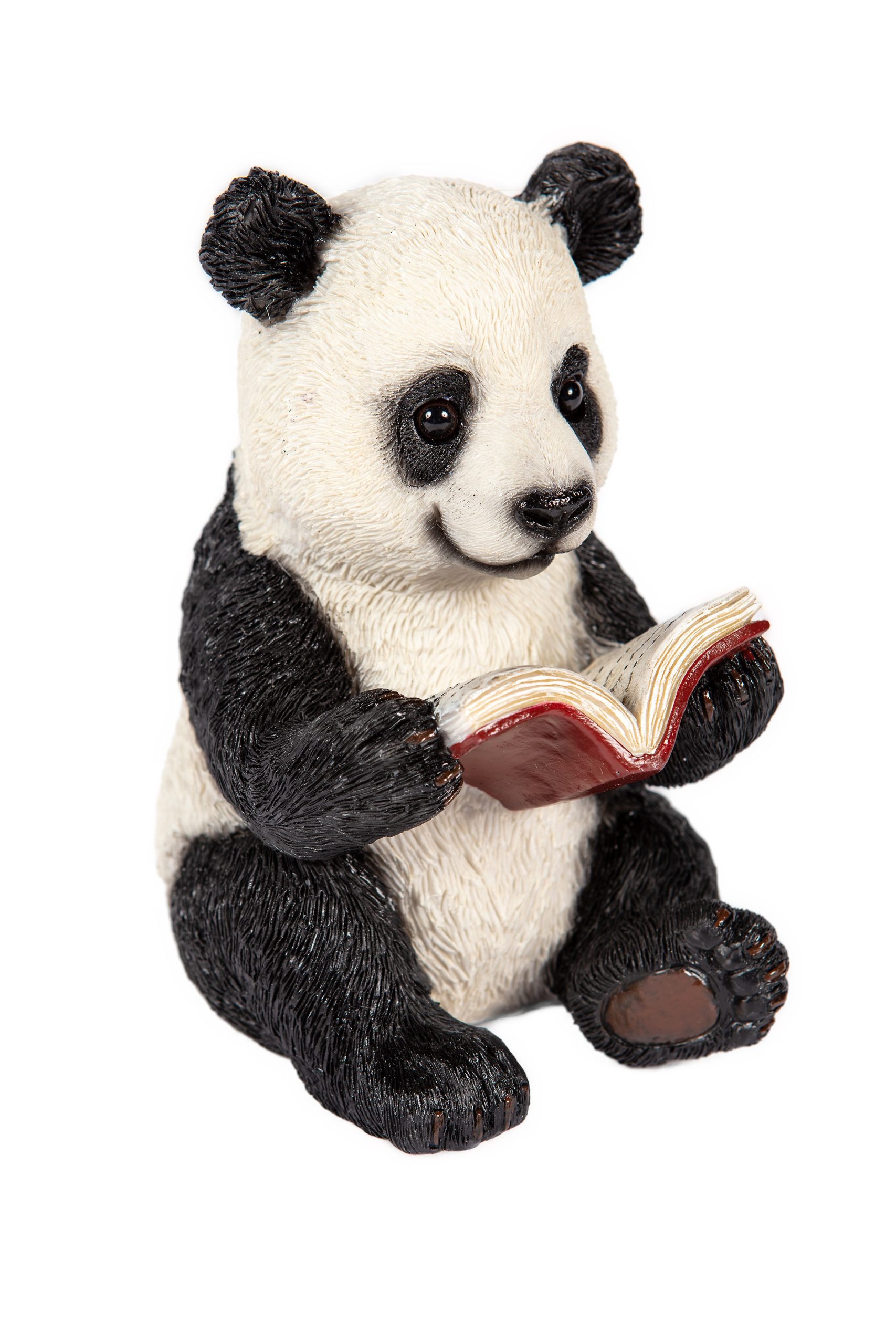 Reading Panda