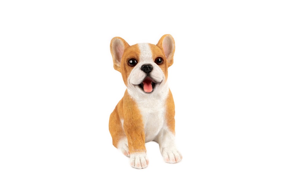 Sitting Pup