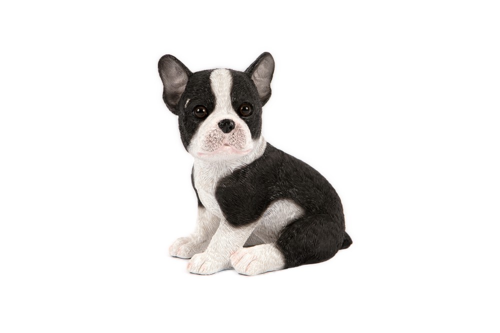 French Bulldog Pup