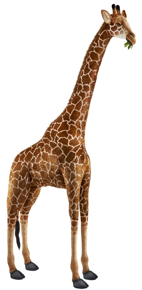 (A) Giraffe 370cmH