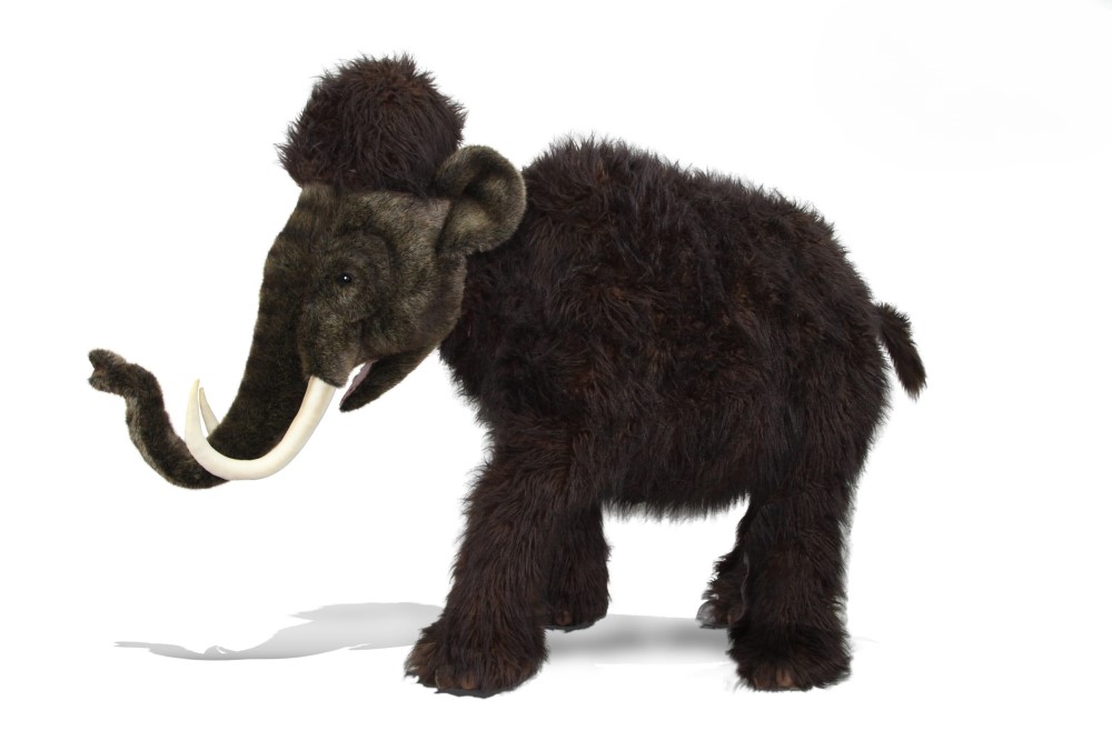 (A) Mammoth 195cmL