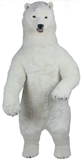 (A) Polar Bear 150cmH