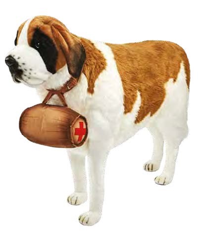 (A) St Bernard 95cmH