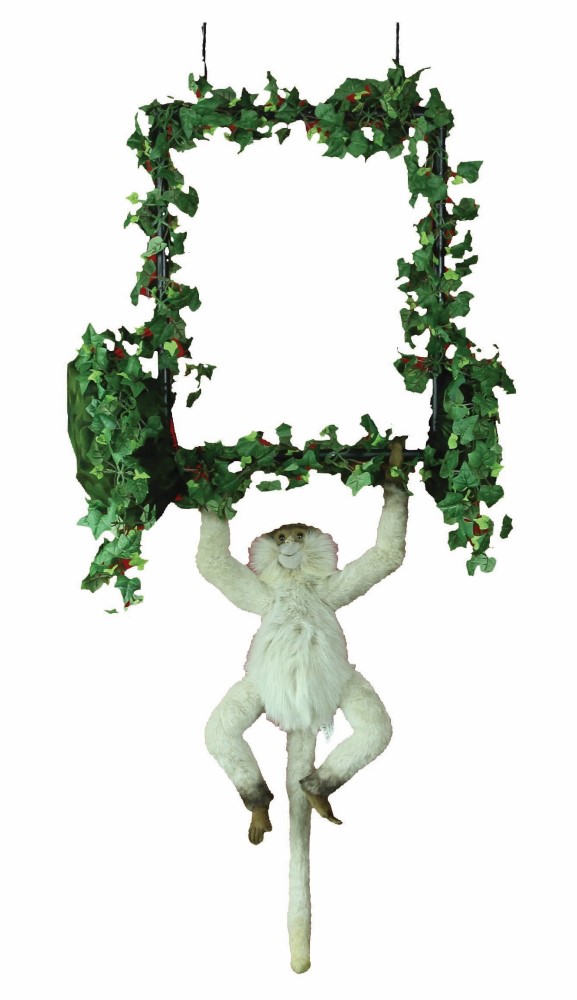 (A) Spider Monkey Tumbling on Bar 110cmH