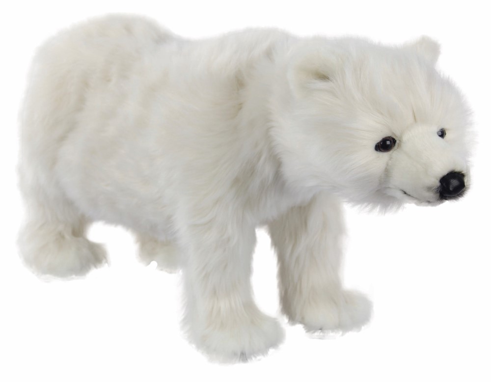 (A) Polar Bear Standing 28cmH