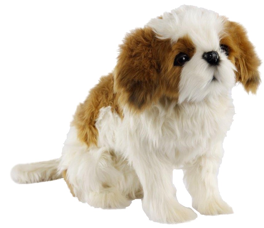 (A) Shih Tzu Dog Sitting 35cmH