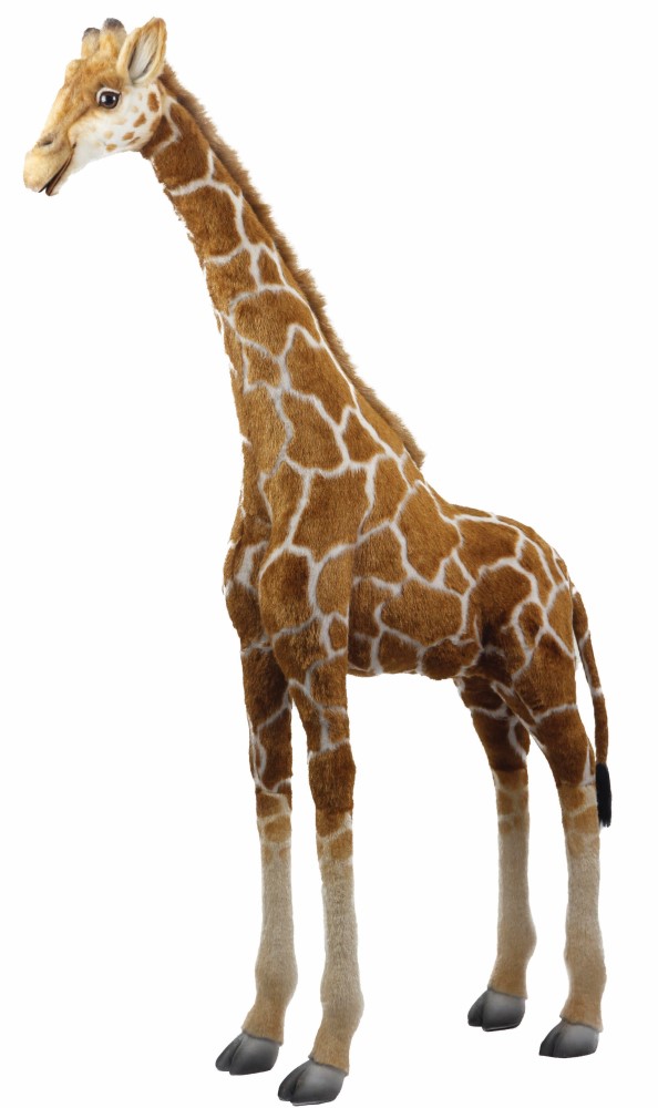 (A) Giraffe 130cmH