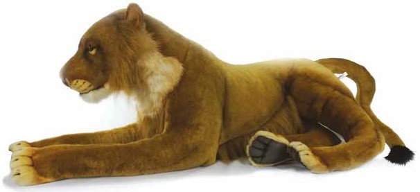 (A) Lioness Lying 55cmH
