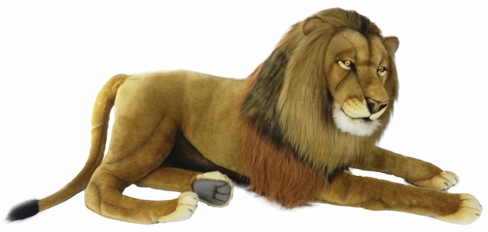 (A) Lion Male Lying 60cmH
