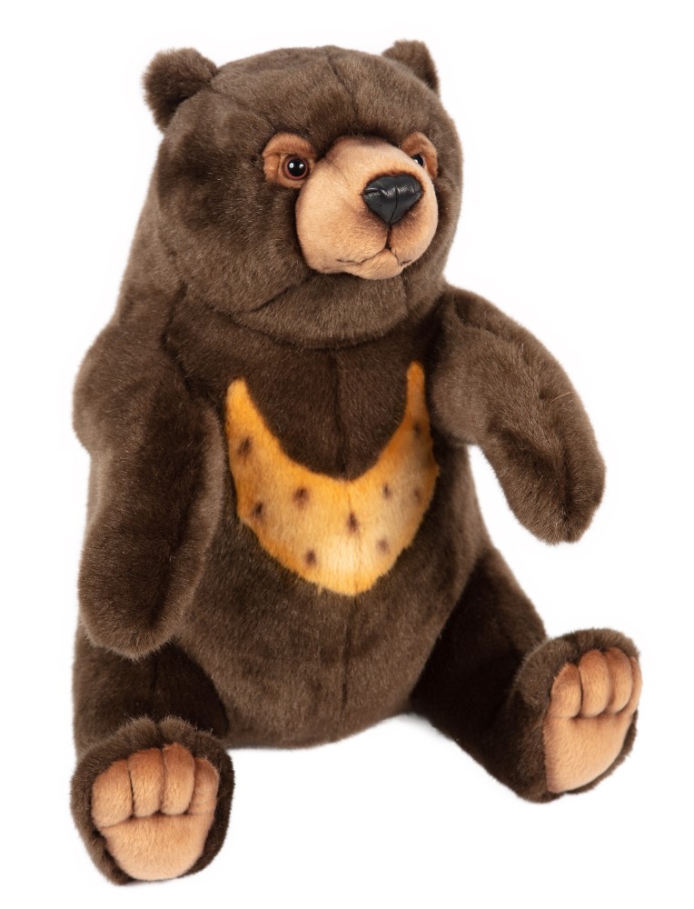 Sun Bear 40cmH
