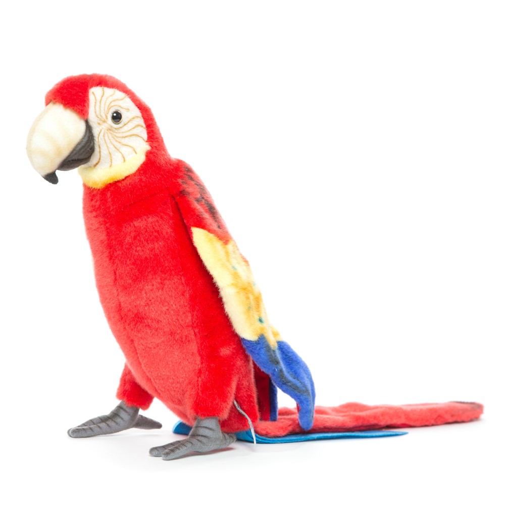 Scarlet Macaw 72cmH