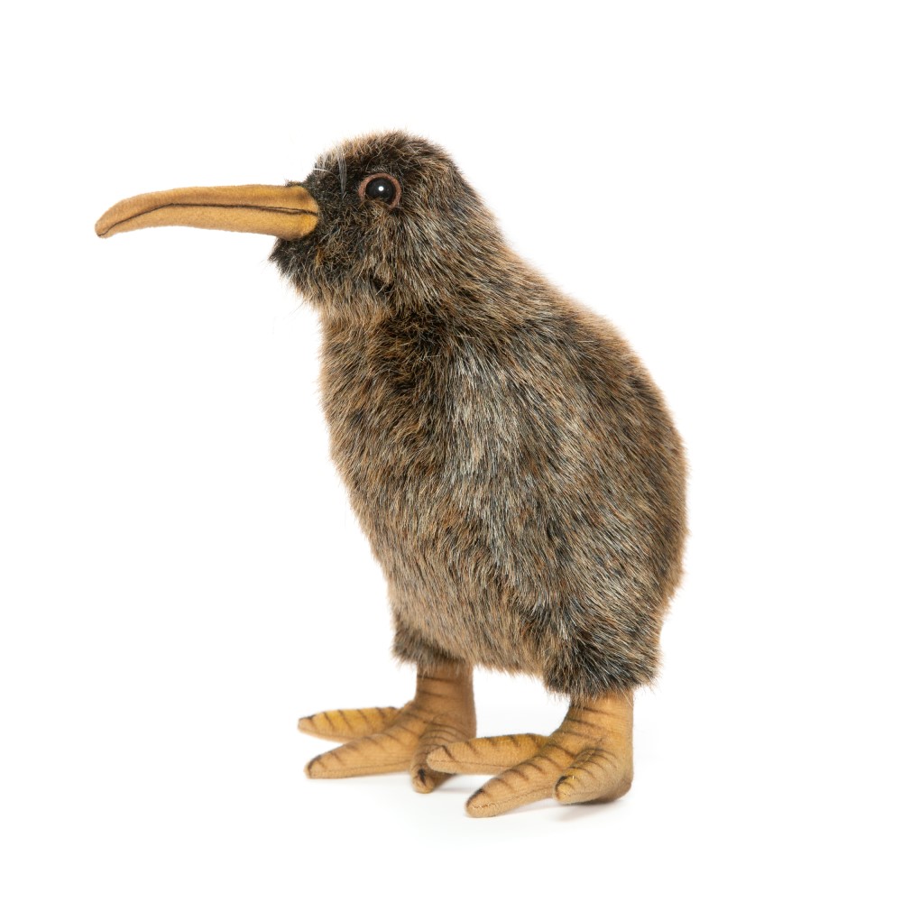 Kiwi 20cmH