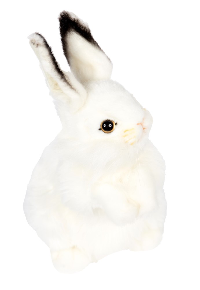 Rabbit (White) 32cmH