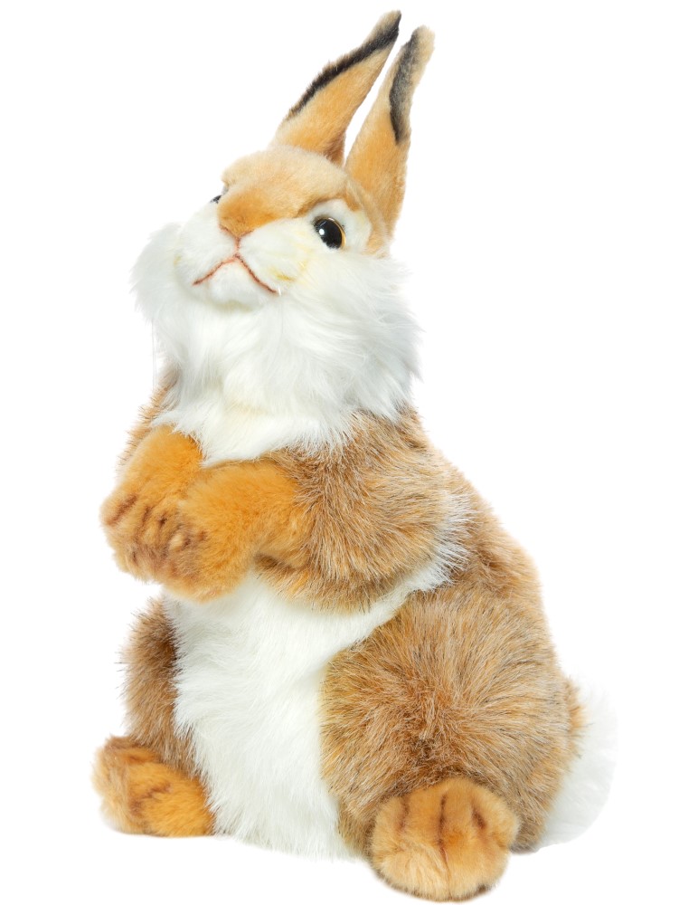 Bunny 30cmH