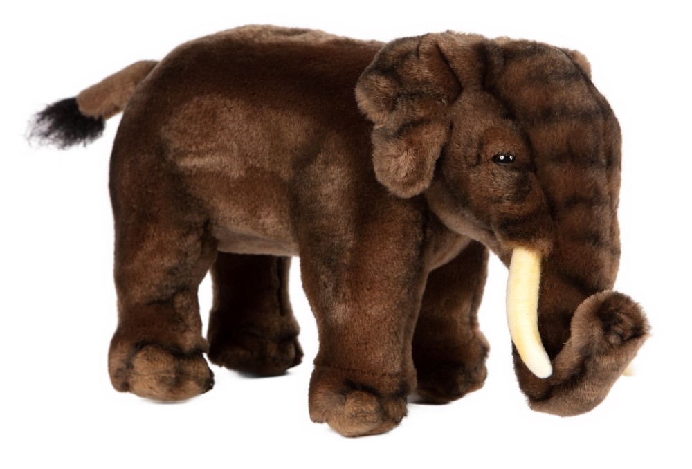 Asian Elephant 29cmL