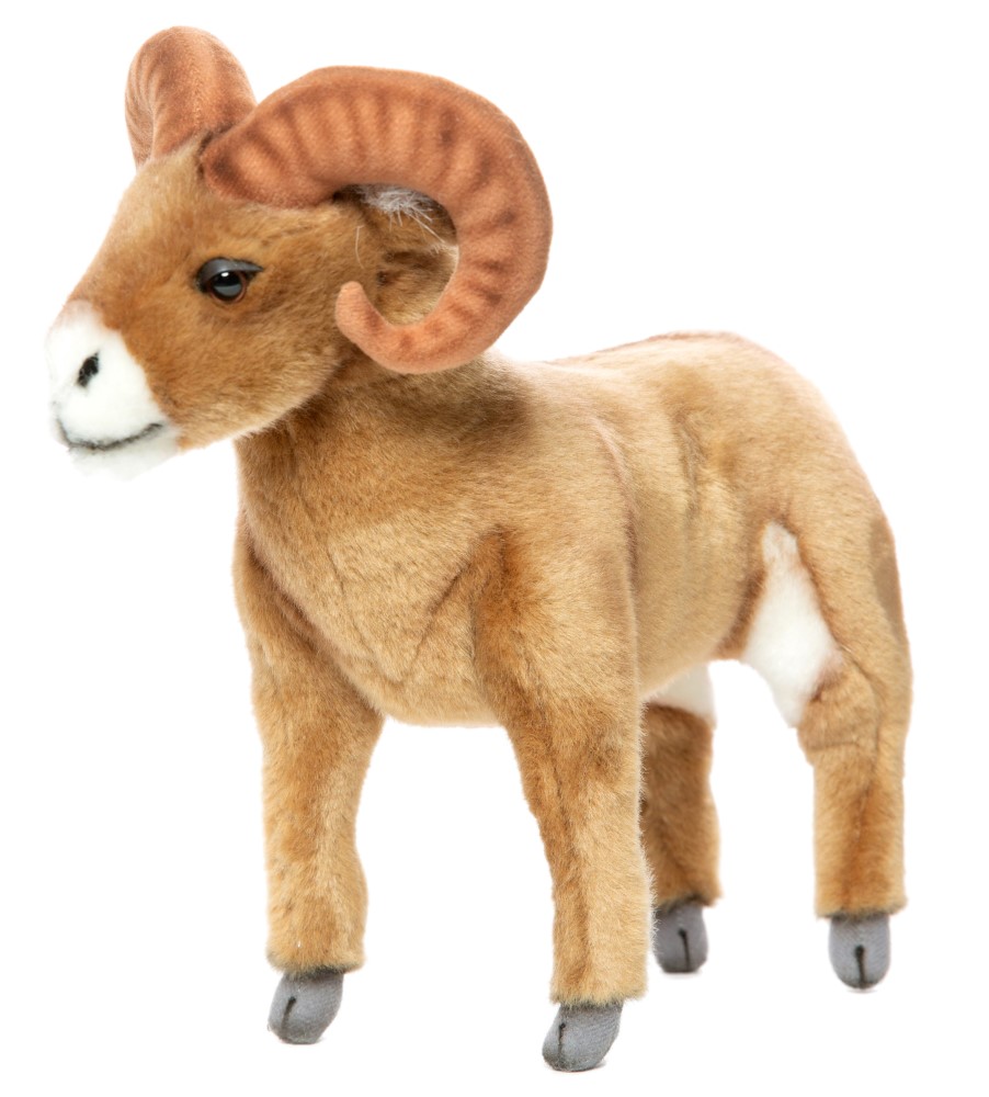 Big Horn Sheep 25cmL