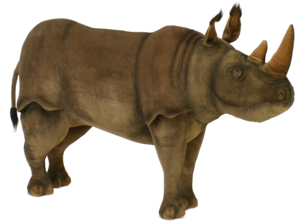 Rhino 166cmL
