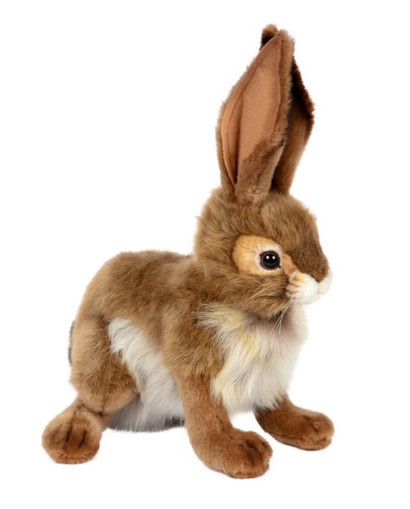 Black Tailed Rabbit 30cmH