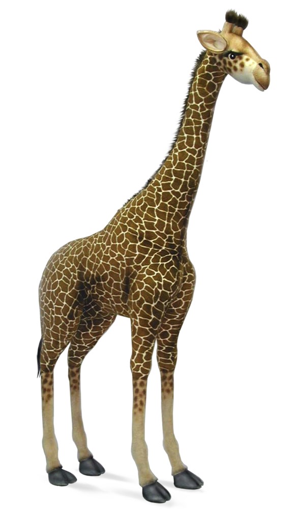 Giraffe 165cmH