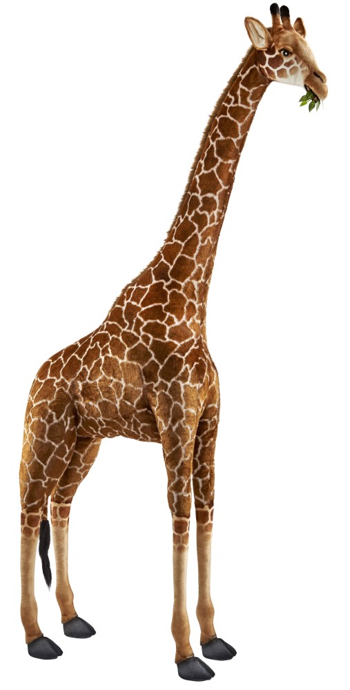 Giraffe 240cmH
