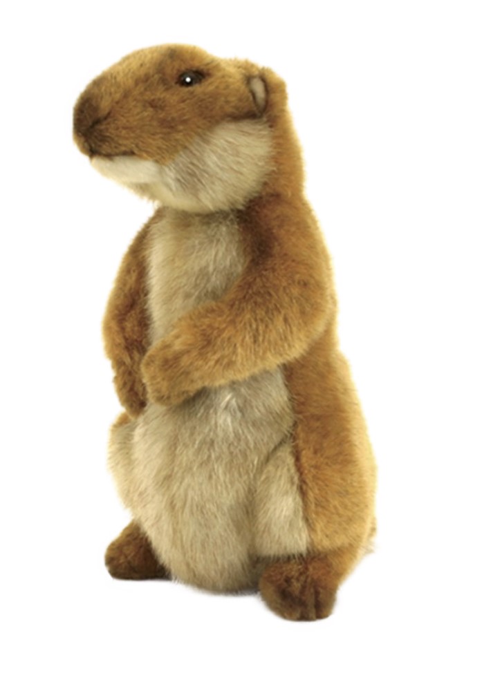 Prairie Dog 18cmH