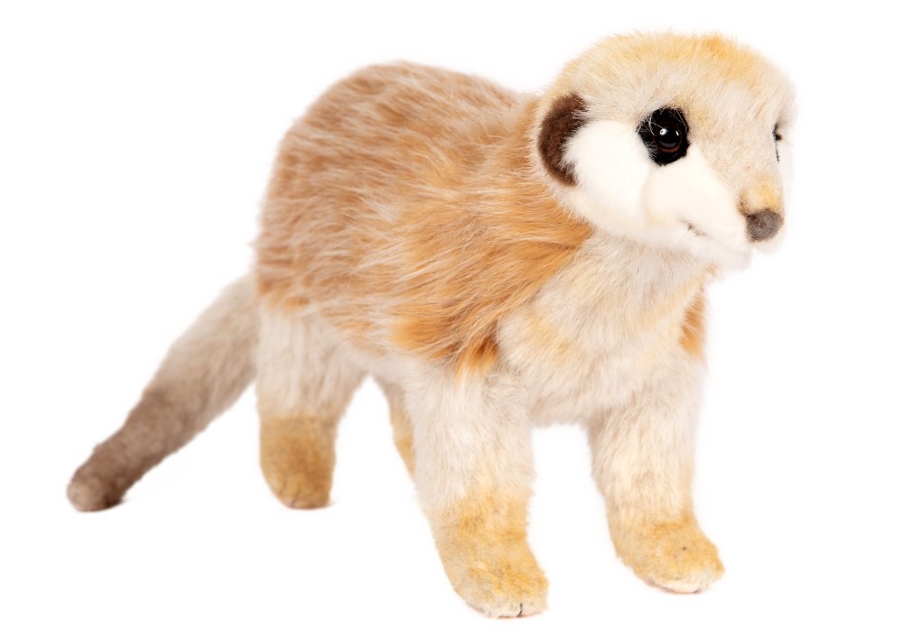 Meerkat 32cmL