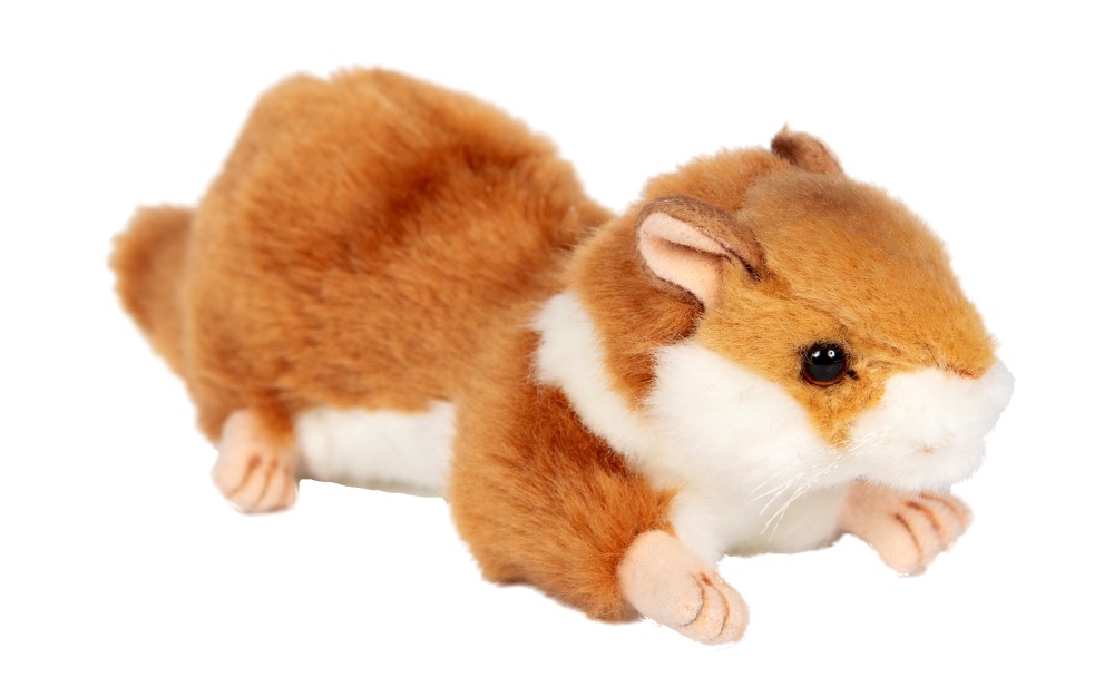 Hamster 17cmL