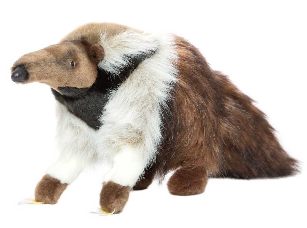 Anteater 45cmL