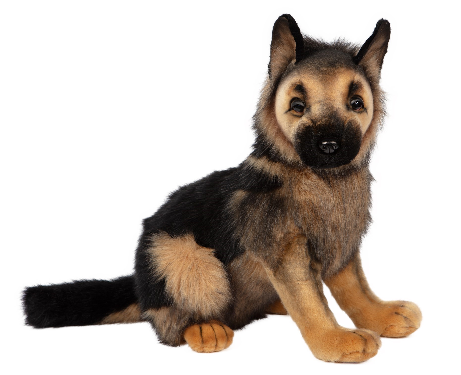 German Shepherd Pup 41cmH