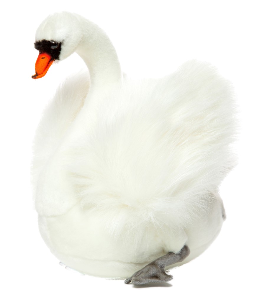 Swan (White) 27cmH