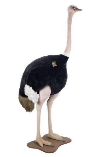 Ostrich Rooster 200cmH